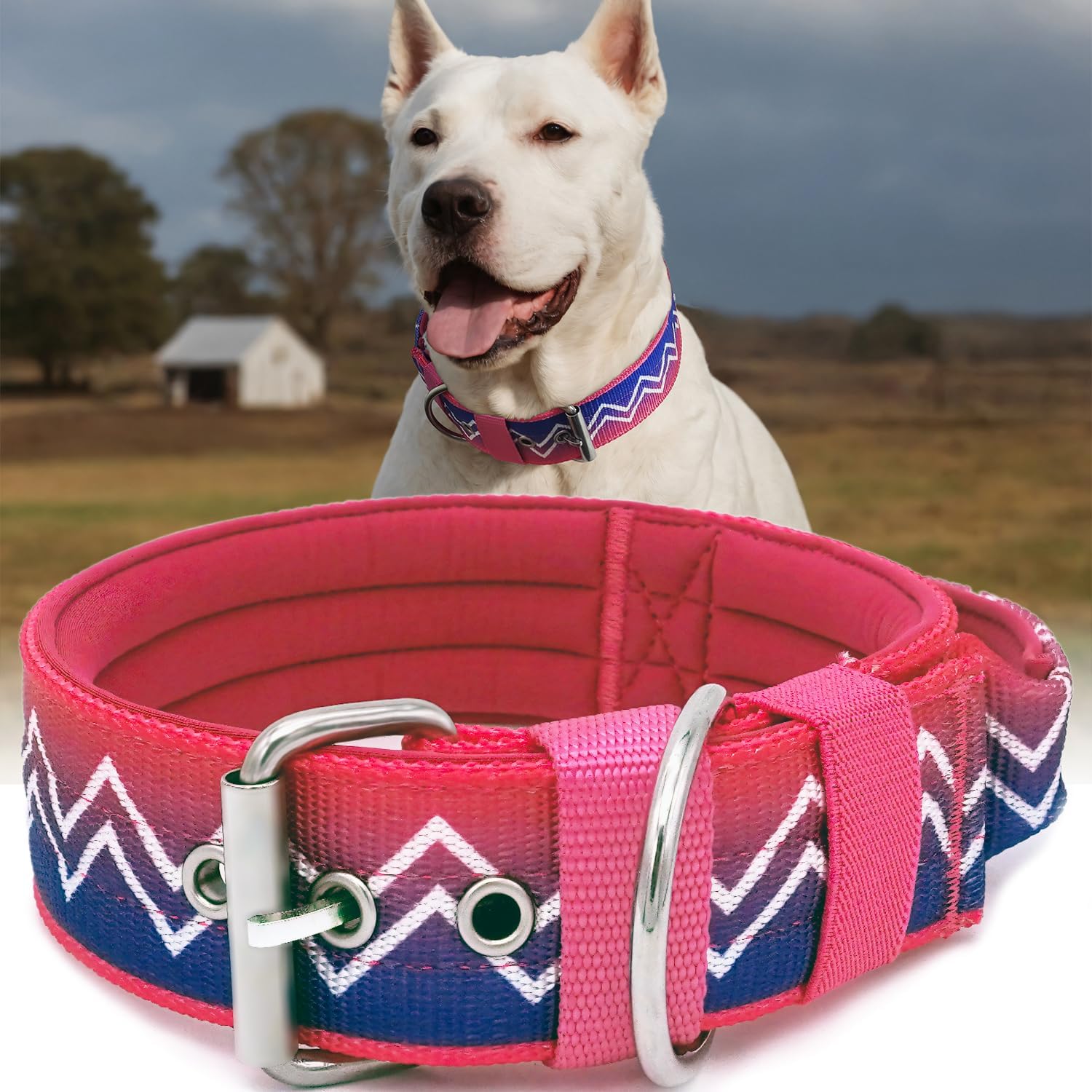 NeckShield Control Dog Collar for Large Dogs-2 Inches Wide with Pressure-Relief Padding, Professional Protection for Large & Giant Breeds, Cotton Wave L