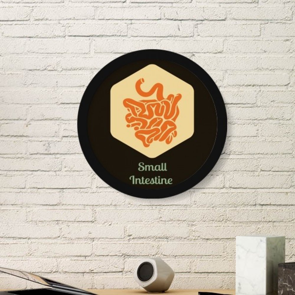 Stickers muraux intestin rond DIYthinker pour décorer un cabinet médical