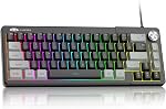 MageGee Mini 60% Clavier de jeu, RGB Allumé en arrière 61 Clé ultra-compact,TS91 Ergonomic Waterproof Mechanical Feeling Office Clavier d'ordinateur pour PC, MAC, PS4, Xbox ONE Gamer(Noir)