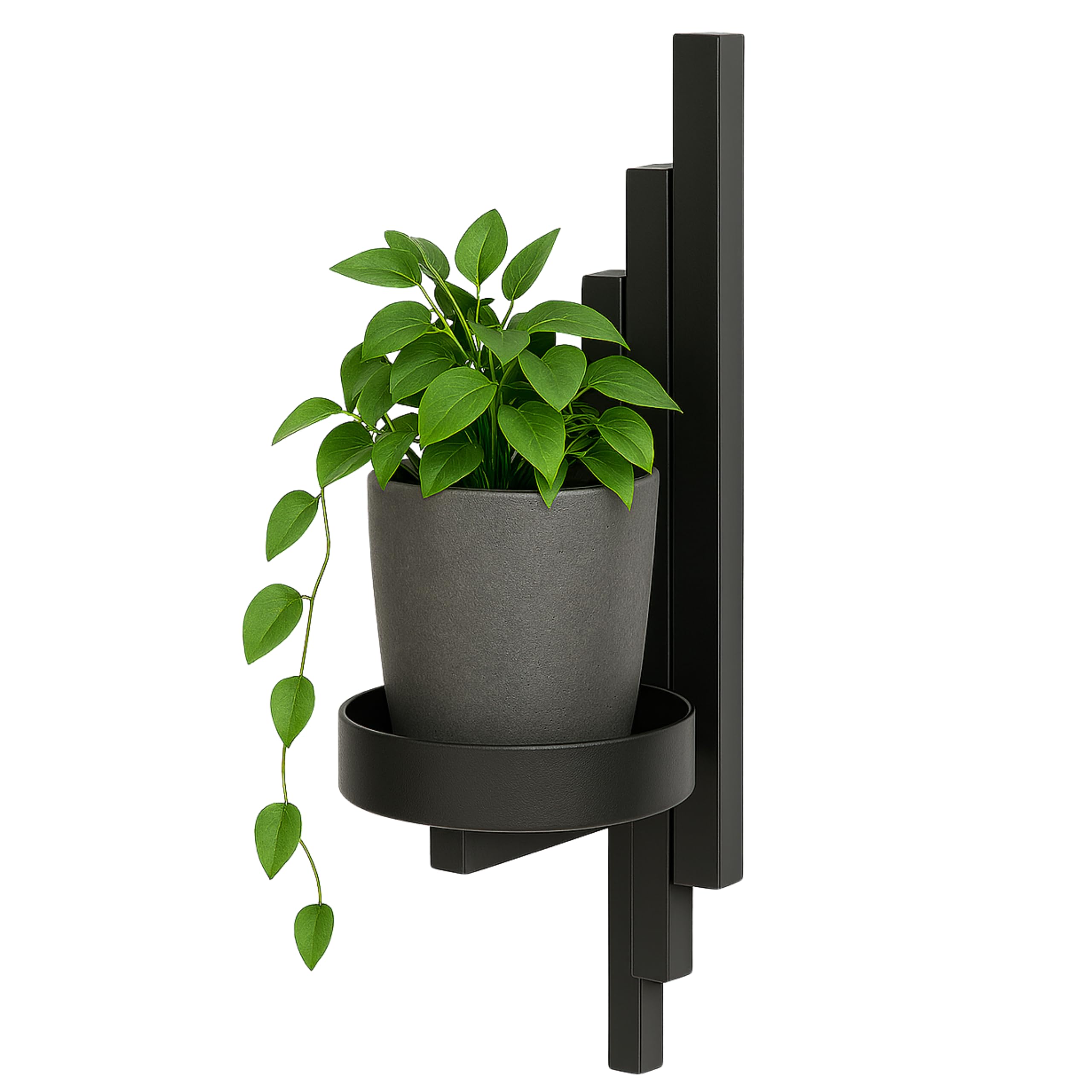 SUCCULENTE FIORIERE DA Parete Vasi Per Piante Basamento Della Pianta