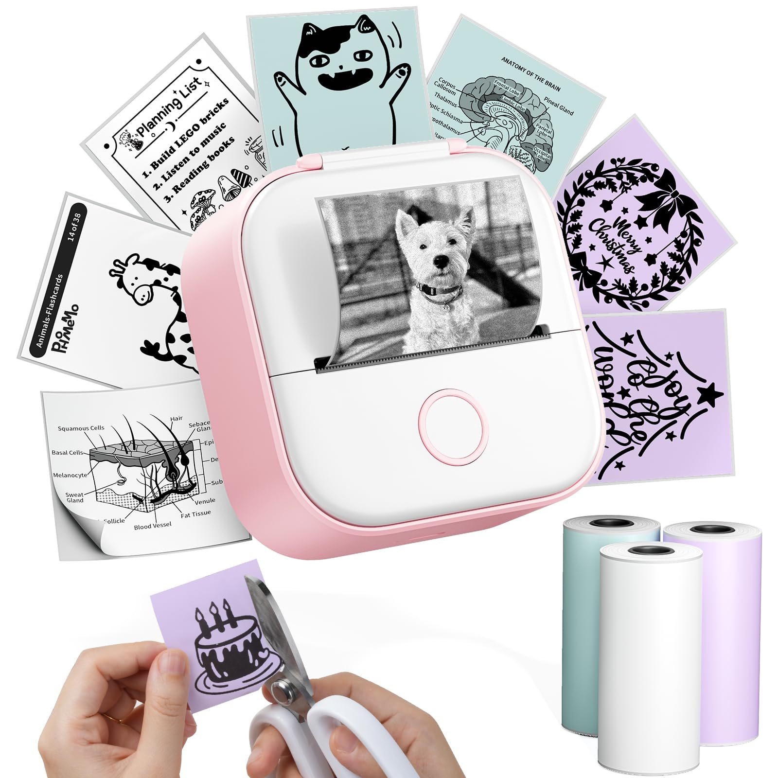 Phomemo T02 Impresora Multifuncion, Impresora Fotos Movil,Impresora Termica portátil para Estudio,Etiquetadora Adhesivas para el Día del Niño Cumpleaños,Impresora Pegatinas para teléfono y Tableta