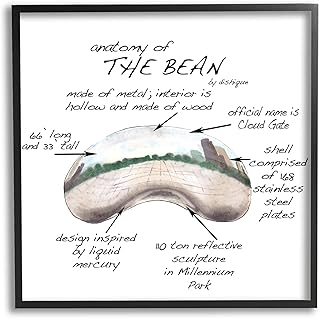Stupell Industries Cloud Gate Chicago Bean Sculpture Educational Chart Diagram, Design by Dishique