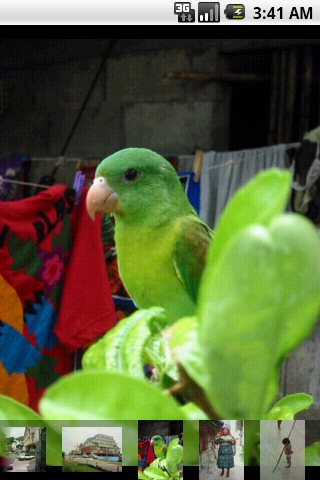 Pictures of Panama