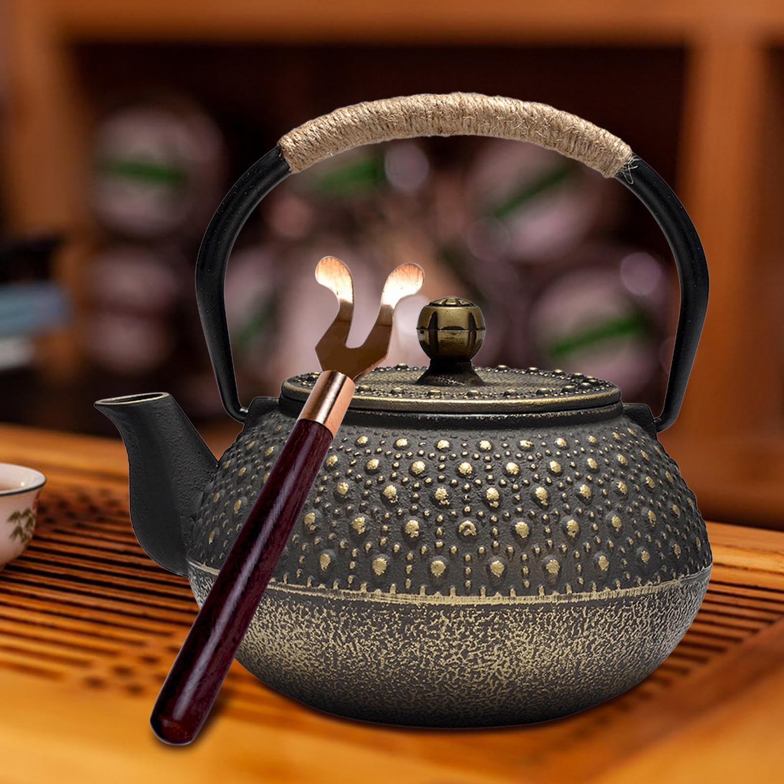 Tetera de hierro fundido, tetera japonesa para doméstico, exterior, camping, diseñada para preparar infusiones, hervidor de agua para cocina, hotel.