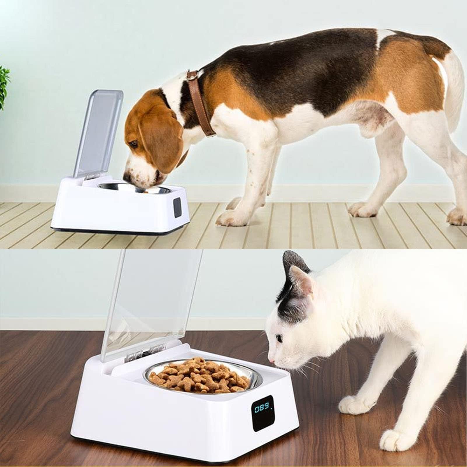 Mangiatoia Automatica per Gatti con Ciotola in Acciaio Inossidabile, Sensore a Infrarossi, Distributore di Cibo per Animali Domestici