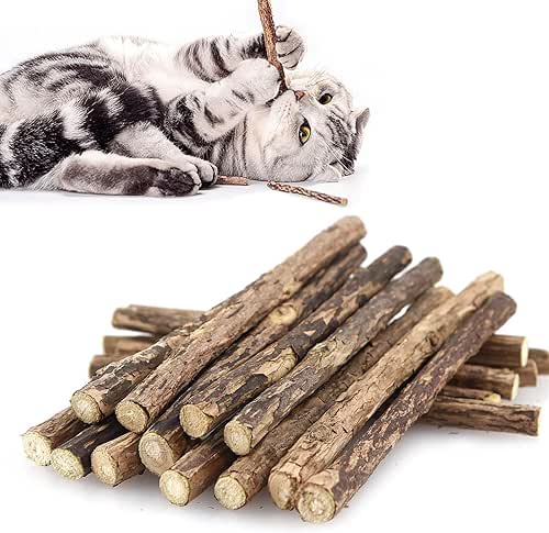 Lot de 30 Bâtons Molaires pour Chat, Jouets à Herbe