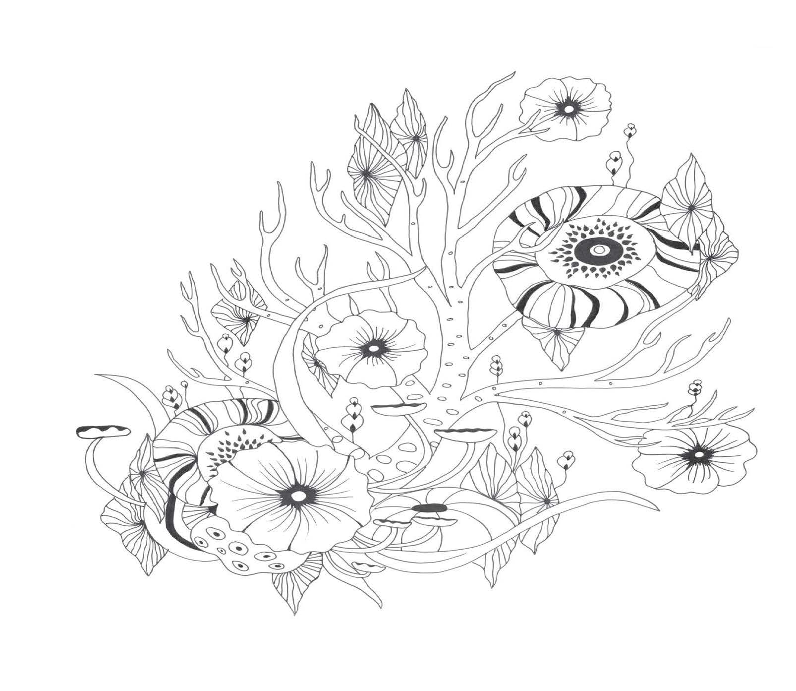 Botanical Wonderland: A Blissful Coloring Retreat (Coloring Wonderland)