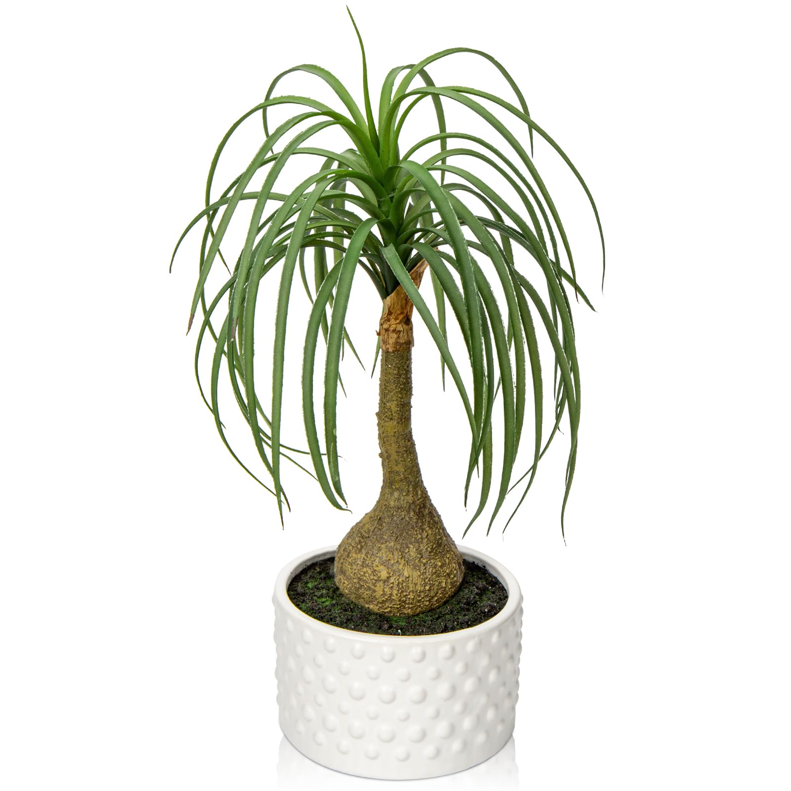 Amazon.com: Hollyone Fake Plants Artificial Potted Plants Artificial Ponytail  Palm Plant in Pots Faux Bonsai Plants for Office Table Desk Shelf Bathroom  Bedroom Greenery Decoration Room Indoor Home Decor : Home &