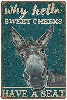 DAIERCY Retro Teal Why Hello Sweet Cheeks Donkey Tin Signs, Love Donkey Sign for Home, Funny Vintage Metal Sign Plaqu Poster Wall Art Kitchen Garden Bathroom Decor, 140x200 mm