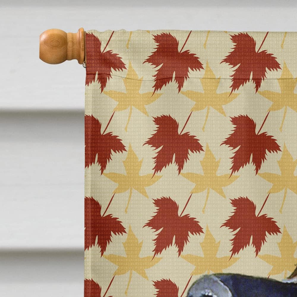 Caroline's Treasures LH9123CHF Leonberger Fall Leaves Portrait House Flag Large Porch Sleeve Pole Decorative Outside Yard Banner Artwork Wall Hanging, Polyester, House Size, Multicolor