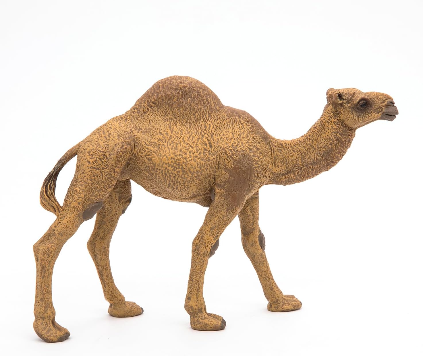Papo - Realistic Dromedary Figure - Ages 3+ - Wild Life Collection - Educational Play Desert Animals - Gift Idea Toy for Girls and Boys