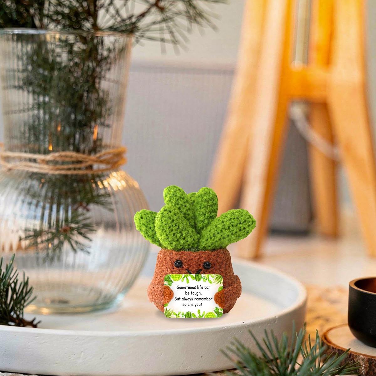 Crocheted Succulent Emotional Support Plant Themed Gifts for Plant Lovers,Motivational Gifts for Women Friends Coworker,But Always Remember So are You Quote image 5