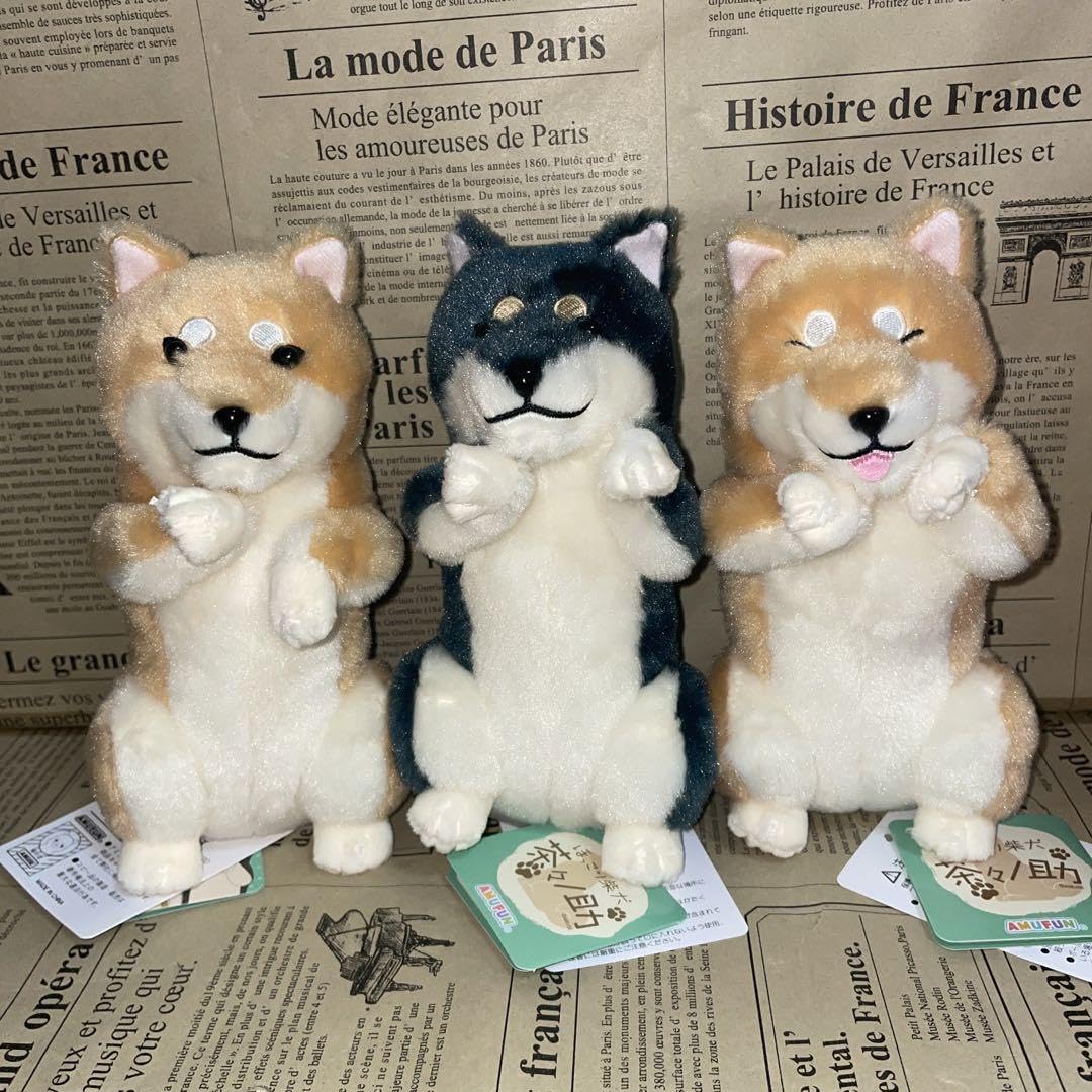 Amazon.co.jp: ◇ほっこり柴犬 茶々ノ助 ごはんちょーだい ST