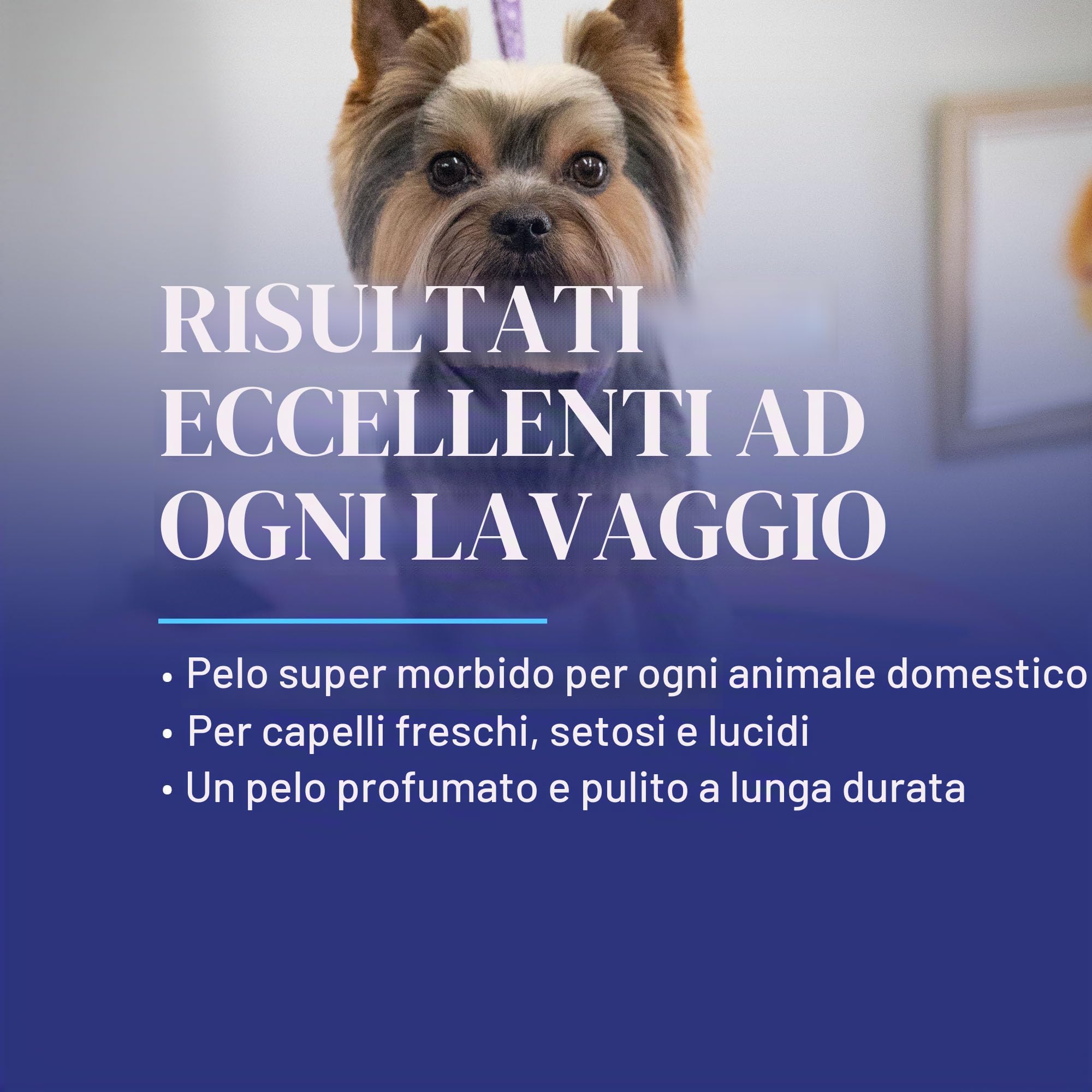 Chris Christensen SmartWash 50 Shampoo Jungle Apple 3,8L – Shampoo Ultra Concentrato 50:1 per Cani e Gatti, Profumo di Mela Esotica, Pulizia Profonda per Tutti i Tipi di Manto, Made in USA