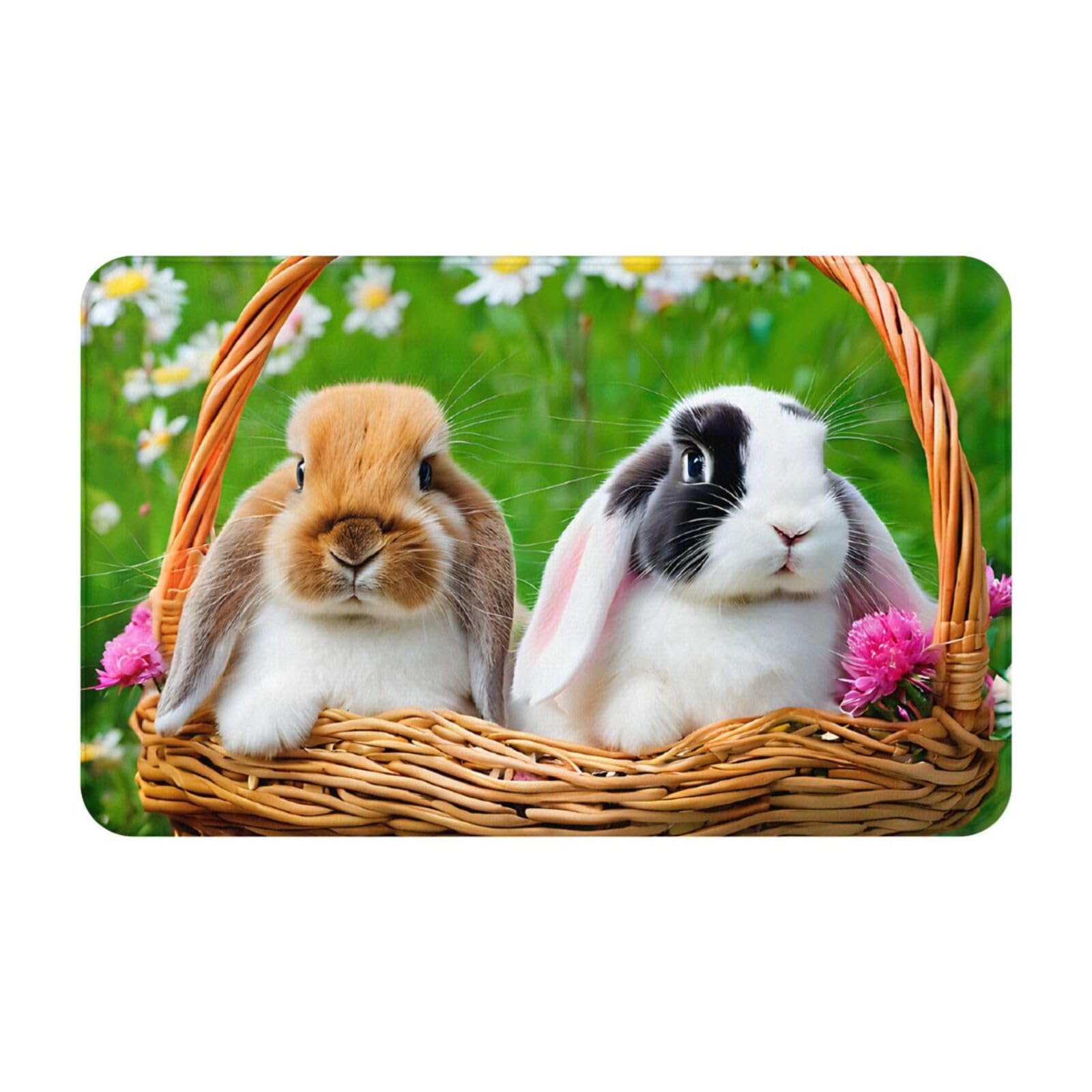 Cute Rabbits Print Living Room Bathroom Kitchen Anti Slip and Absorbent Carpet, Indoor Entrance Door Muddy Floor Mat, Ultra Soft Washable Carpet 21x31.5 Inches