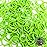 Beauty Town 1000 Pcs Rubber Bands Hair Band Soft Elastic Hair Accessories Braids Mini Hair Ties Stretchy Hair Ties No Damage Rubber Bands for Hair (4-Packs) (Lime Green)