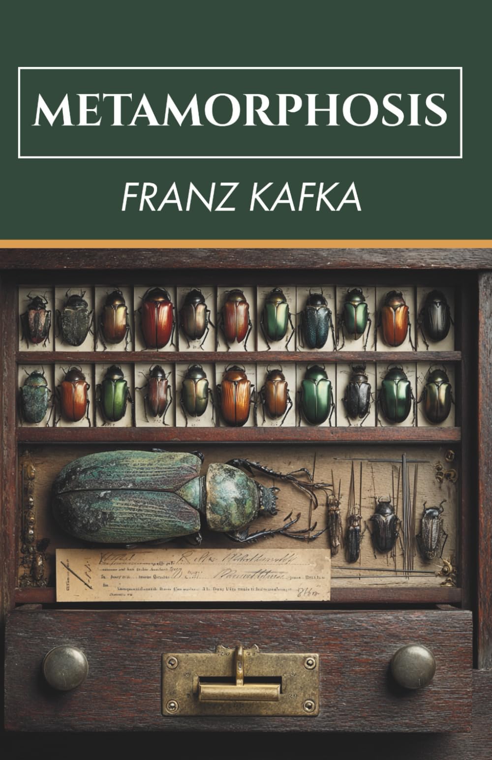 Franz Kafka’s the Metamorphosis (Annotated)
