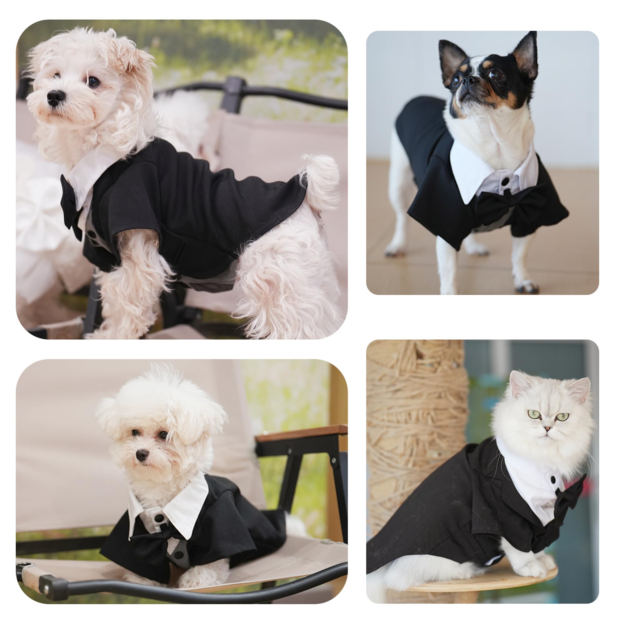 Dog Tuxedo Suit, Formal Dog Shirt with Bow Tie, Wedding Outfit Tux Attire for Puppy Small Medium Dogs Cats Costume (BW Suit, Large) - Image 2