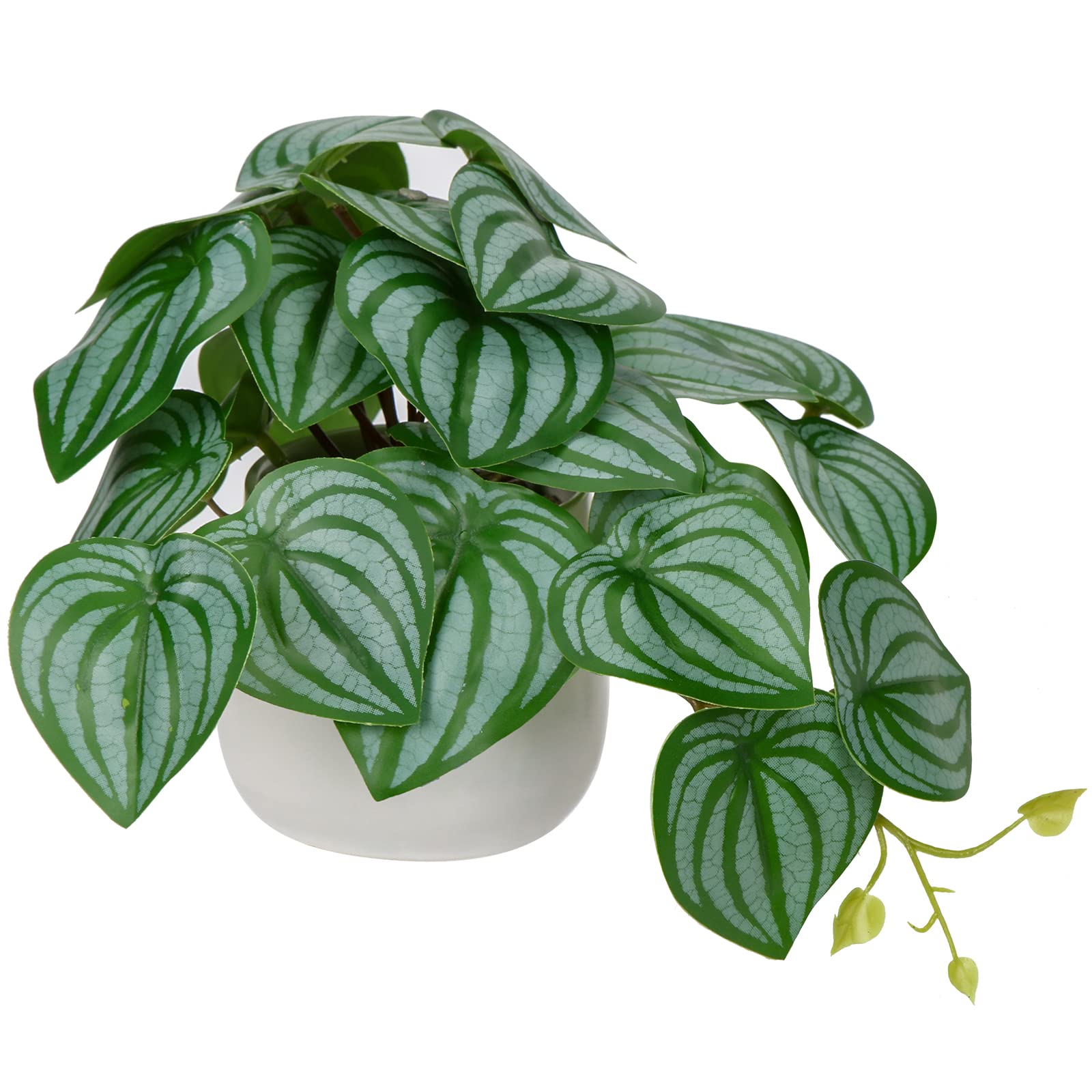 Oairse Small Artificial Plants in Ceramic Pots Decorative Fake Potted Plants Faux Watermelon Peperomia Realistic Greenery House Plant Indoor for Aesthetic Home Office Kitchen Bathroom Desk Décor