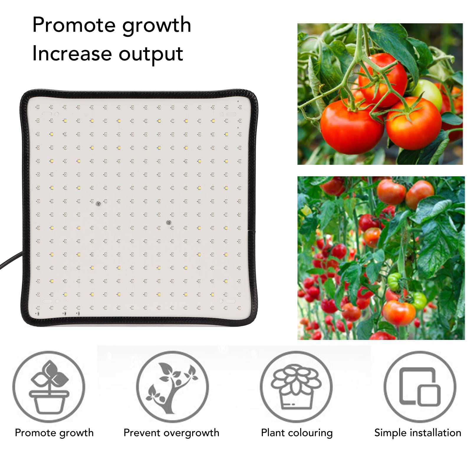 Lámparas de Cultivo de Plantas, Luces de Cultivo de Plantas LED de Control Científico de 1000 W, Luces de Cultivo LED de Bajo Calor para Invernadero de Plantas de Interior(EU-12 pulgadas)