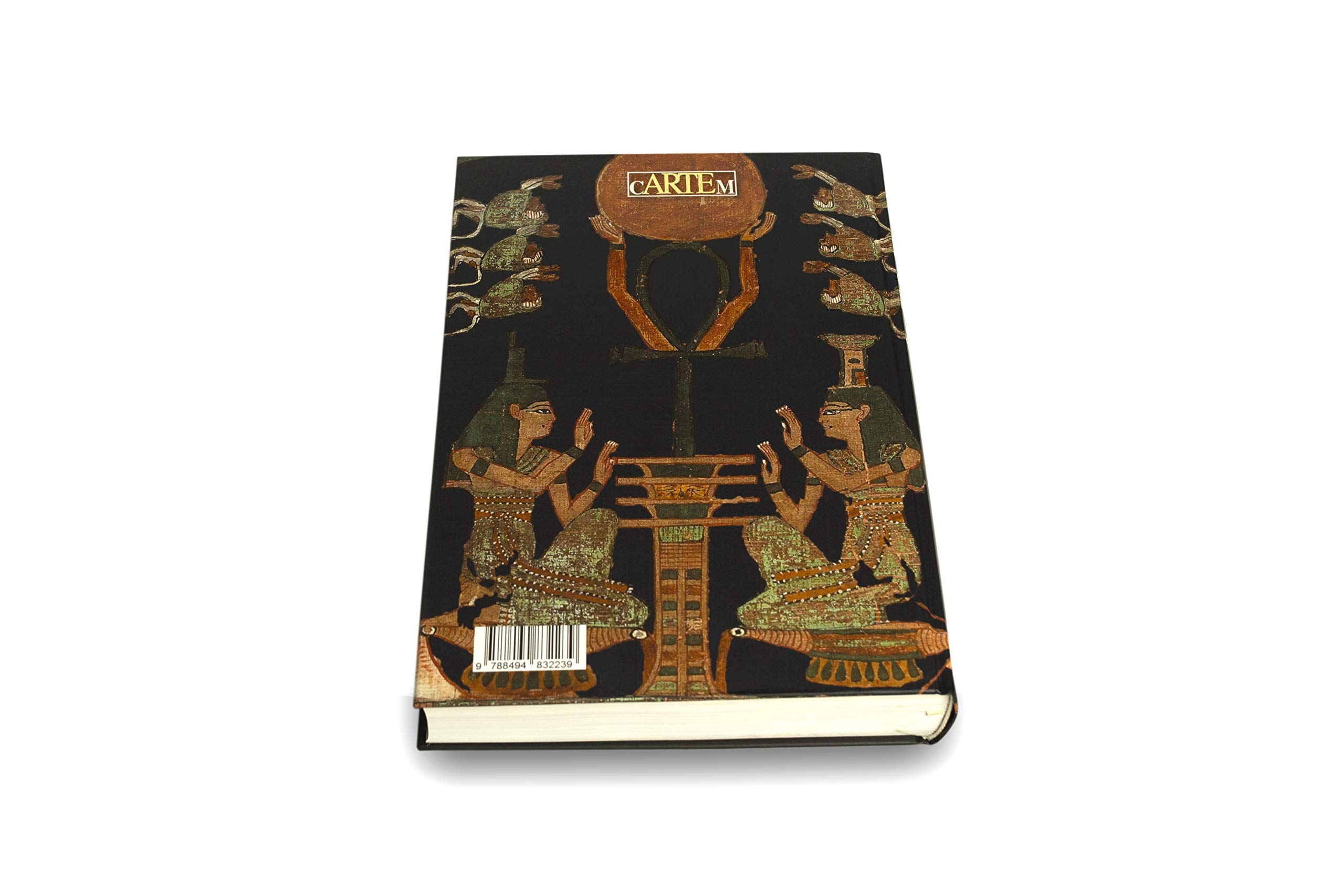 Papiro de Ani (ART BOOKS)