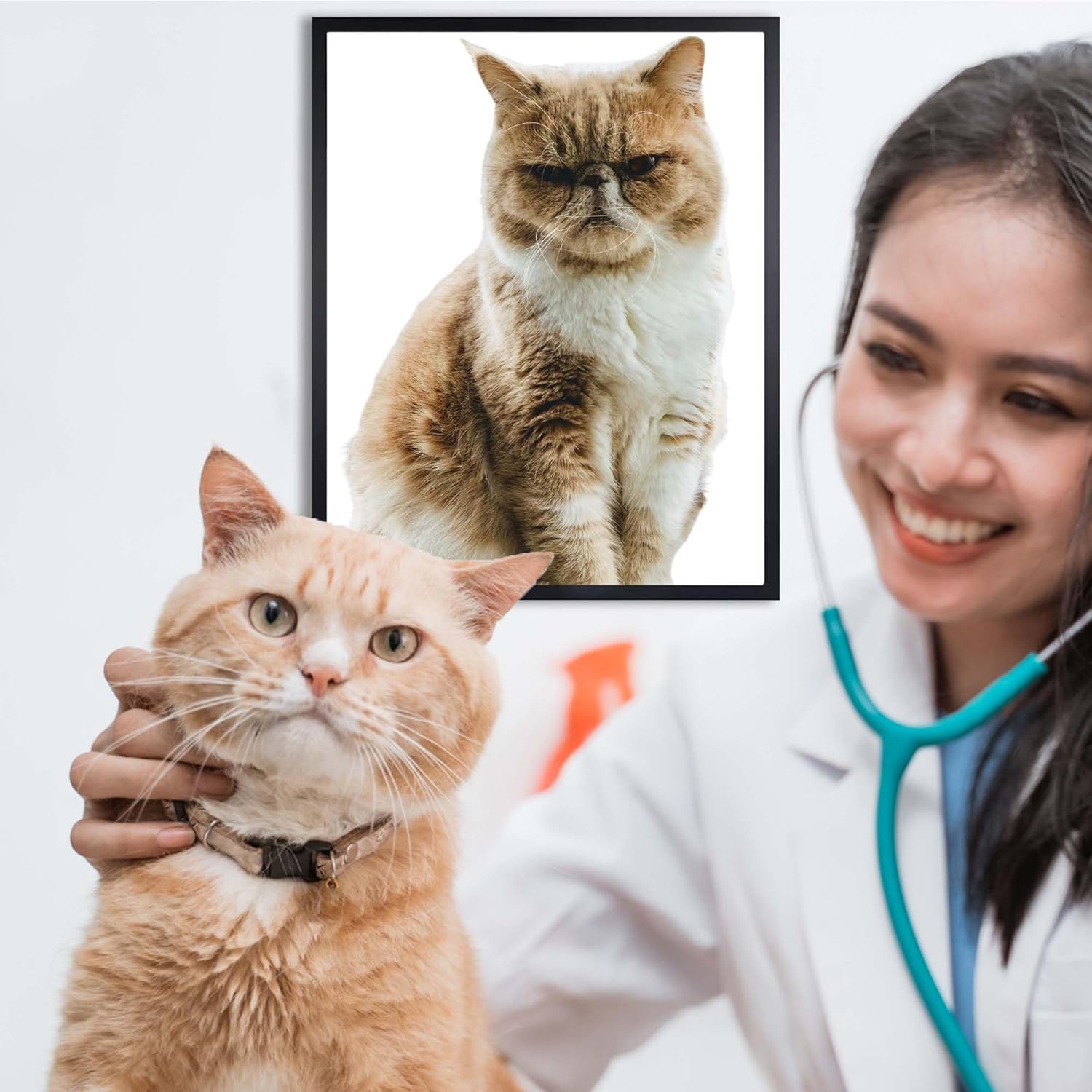 InkFlow Posters Lazy Cat on Couch Poster - Modern Graphic Print - Hilarious Pet Print for Living Room or Office Humor Decor - 16x20 Unframed Canvas Print