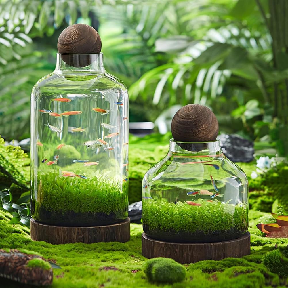 Acquario di Vetro con Base in Legno, Serbatoio di Pesce di Micro Ecosfera, Intestino di Pesce Betta A Forma di Bottiglia Trasparente, Acquario Ecologico Micro-Paesaggio,M