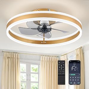 LEDIARY 19.7'' Modern Low Profile Ceiling Fans with Lights and Remote,Gold