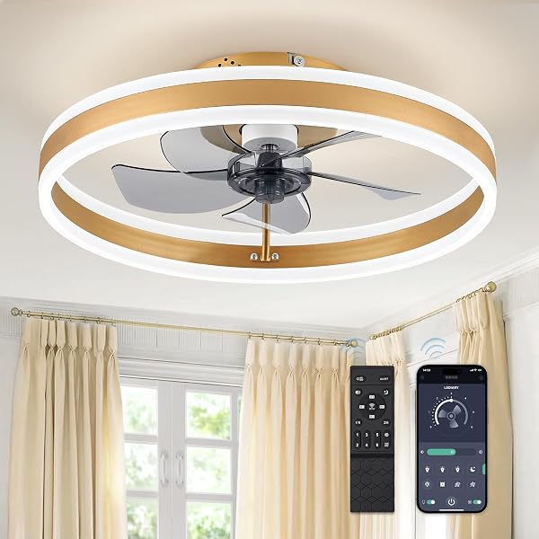 LEDIARY 19.7'' Modern Low Profile Ceiling Fans with Lights and Remote,Gold