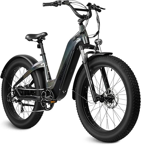 VELOWAVE Bicicleta eléctrica para adultos motor Bafang de 750 W batería de celdas LG de 48 V 20 AH sensor de par eléctrico con neumático de grasa de