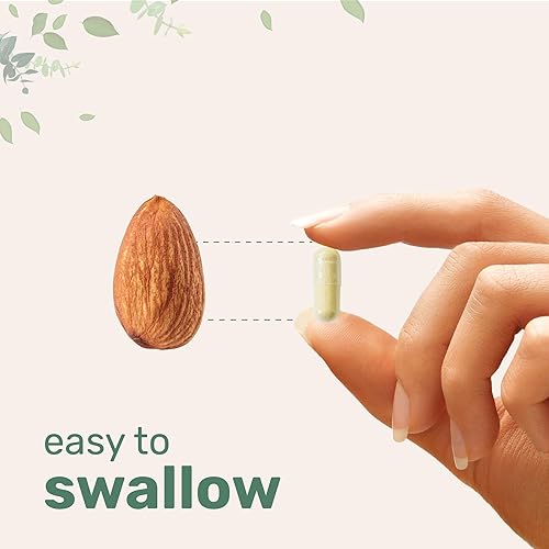 Miniatura 4 de Cápsulas de raíz de maca para mujeres y hombres de 5,000 mg  240 cápsulas vegetales con Ashwagandha, raíz de maca roja, negra, amarilla, Panax