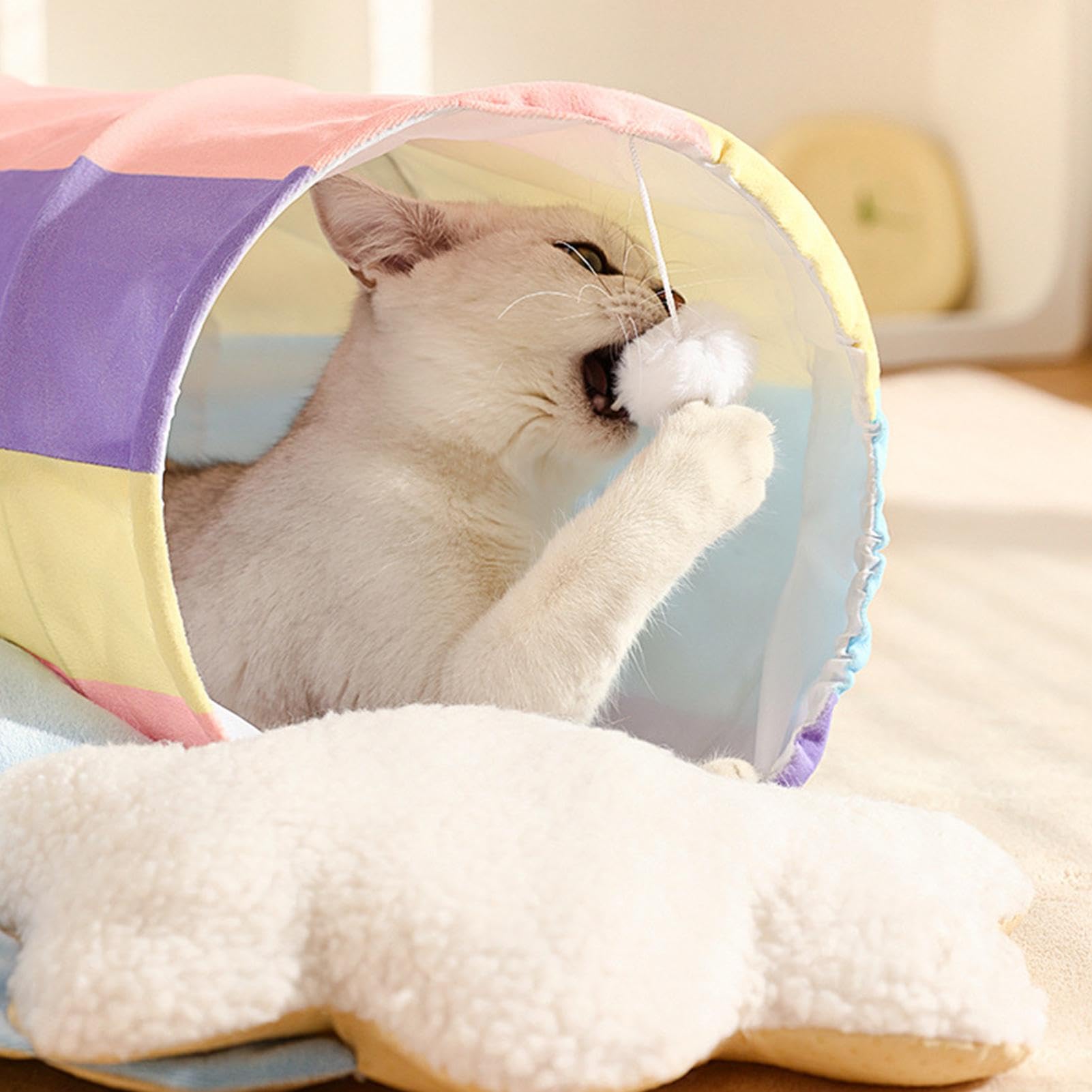 Amazon.co.jp: 猫遊びトンネル、屋内猫用猫迷路, レインボートンネル猫