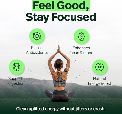 Miniatura 6 de Kalmateh Yerba Mate Cup/Gourd 8.6oz, taza de té de acero inoxidable, juego de 3 piezas, incluye popote de filtro Bombilla y cepillo de limpieza