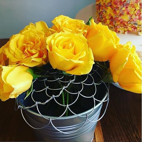 Miniatura 5 de The Original - Arreglista de flores de un solo alambre American Kenzan Flower Frog (acero - 6 pulgadas)