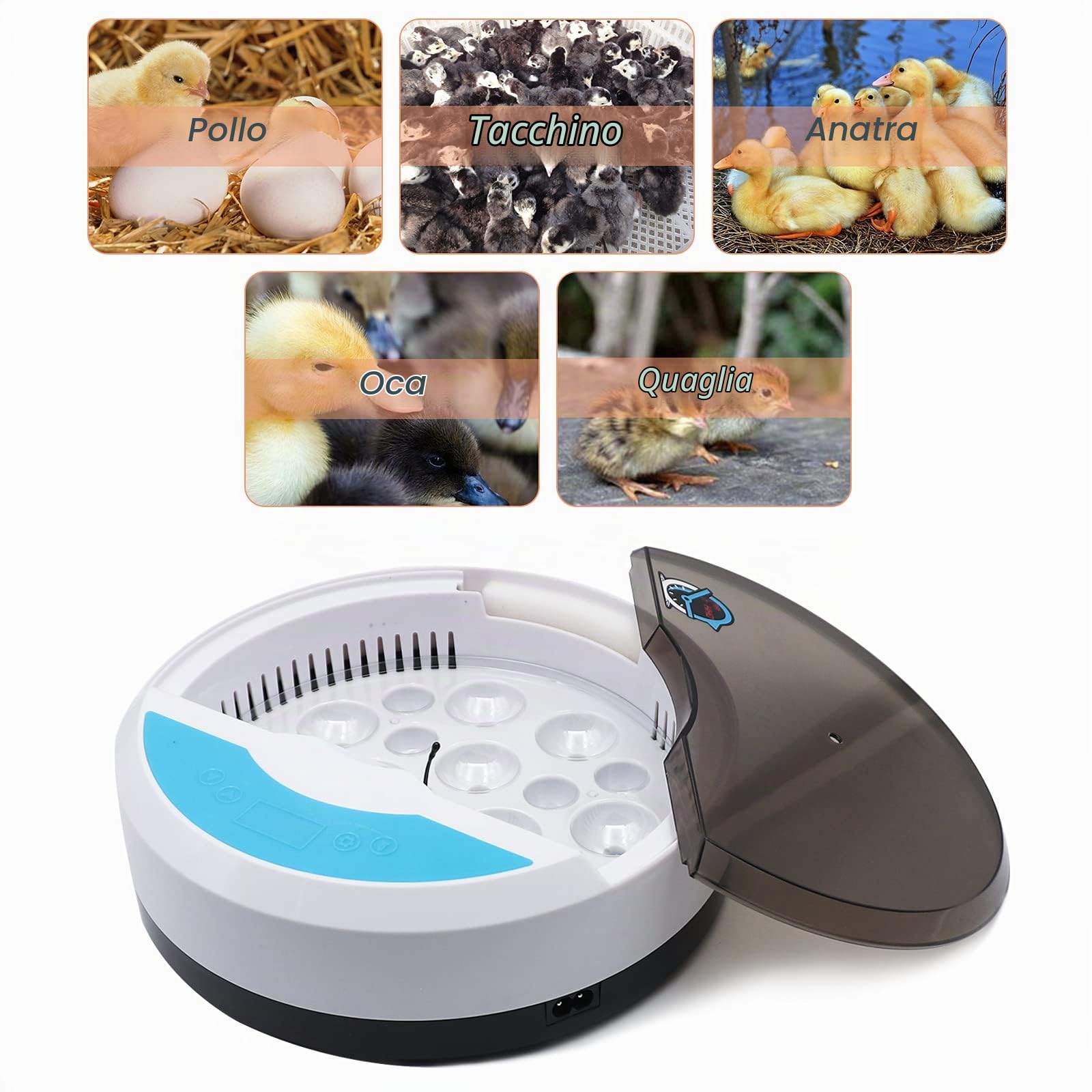 Incubatrice di Uova, 9 Uova Hatcher Pollame Macchina da Cova con Rotazione Automatica e Controllo Della Temperatura Pollo Brooder Incubatori, per la Cova di Uova di Pollo Anatra Oca Quaglia