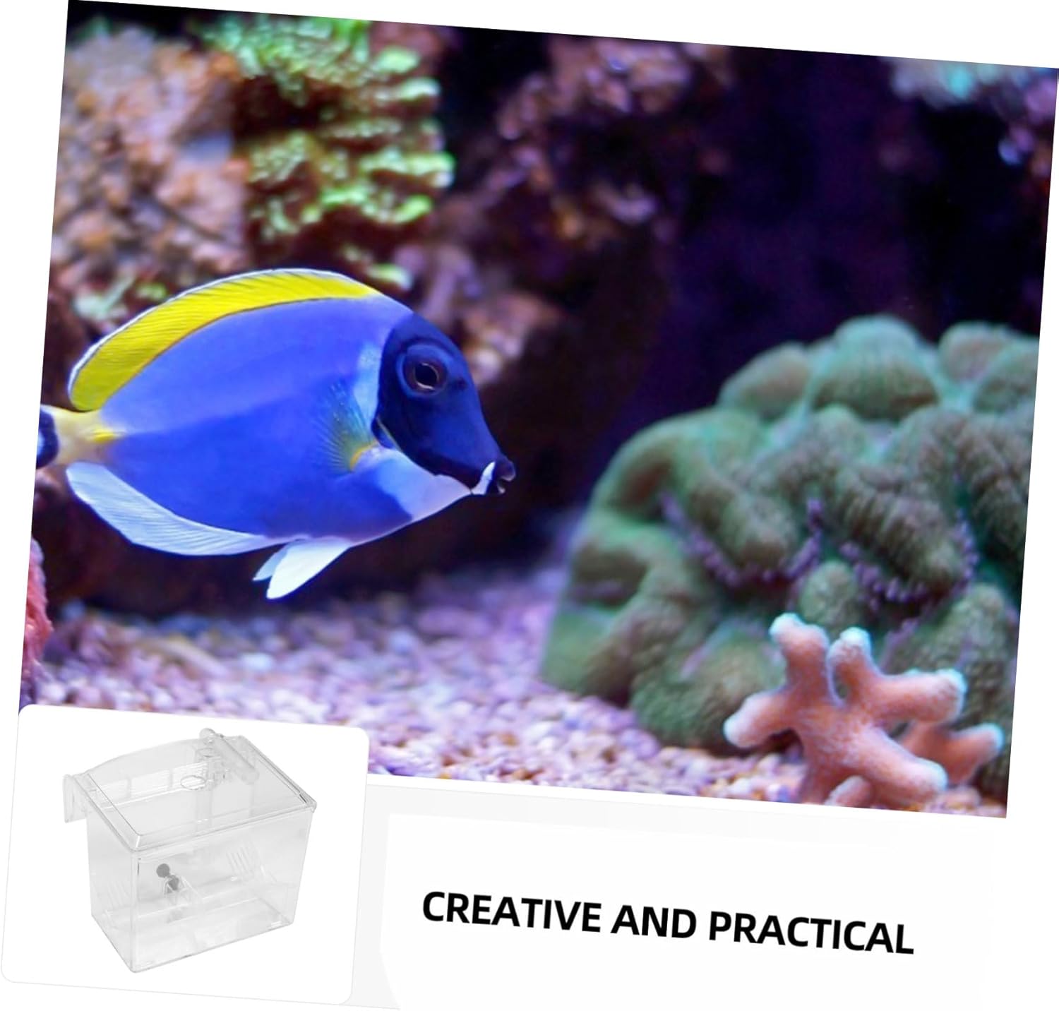 Generic 1pc Isolated Breeding Box Fish Separation Aquarium Net Fine Mesh Isolation Kit Acclimation Isolator Tank Hatchery Incubator White Plastic