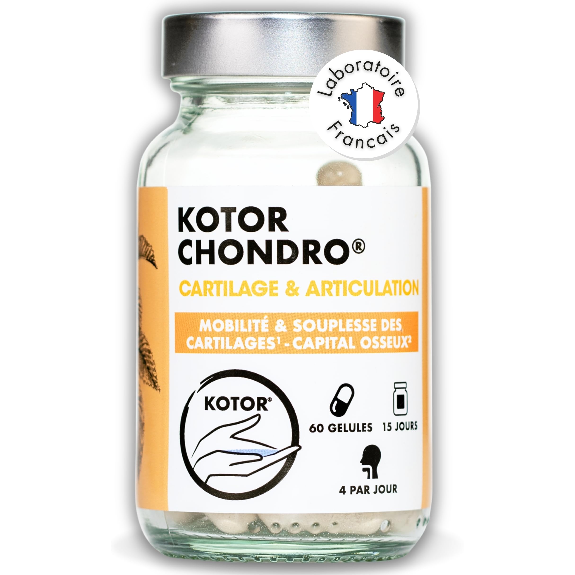 KOTOR CHONDRO | Régénère les Cartilages | Glucosamine + Chondroïtine Marine + Ortie + Manganèse + Vitamine C | Mobilité & Souplesse | 60 Gélules | Fabriqué en France