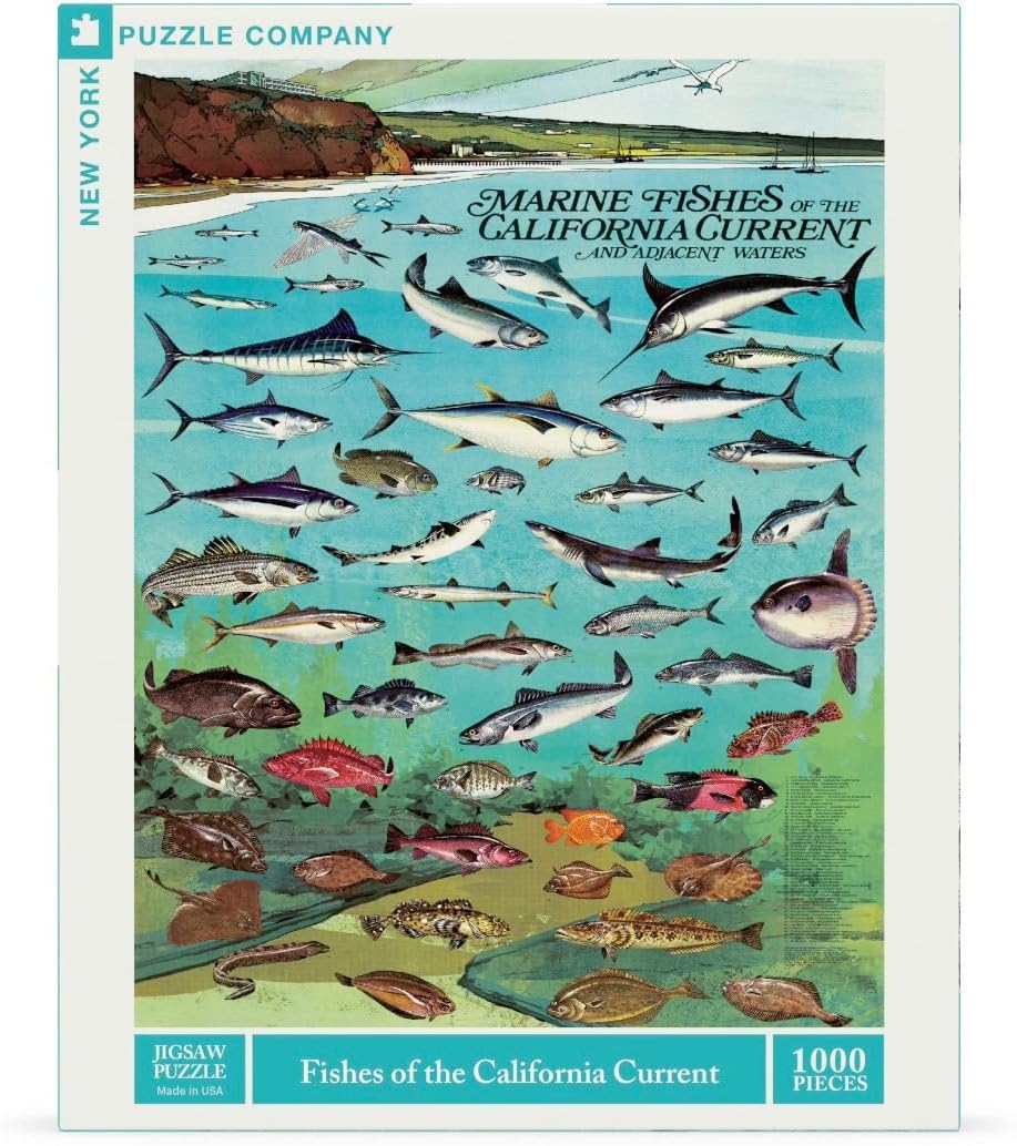 New York Puzzle Company - Vintage Images Fishes of The California Current - 1000 Piece Jigsaw Puzzle for Adults