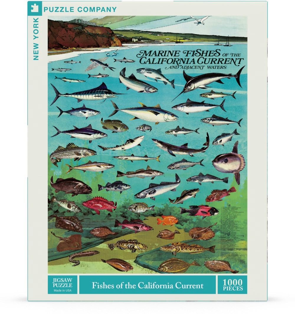 New York Puzzle Company - Vintage Images Poissons du courant californien - Puzzle de 1000 pièces