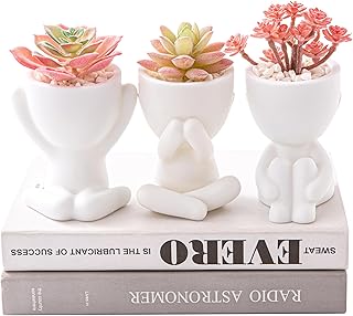 HEYO-YEPY 3PCS Cute Artificial Plant Office Decor for Women and Men, Aes...