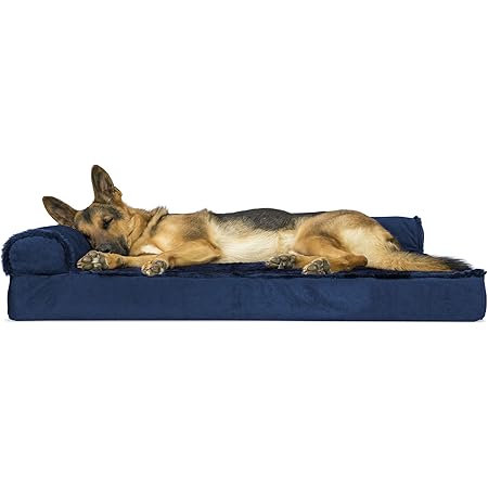 bully beds amazon