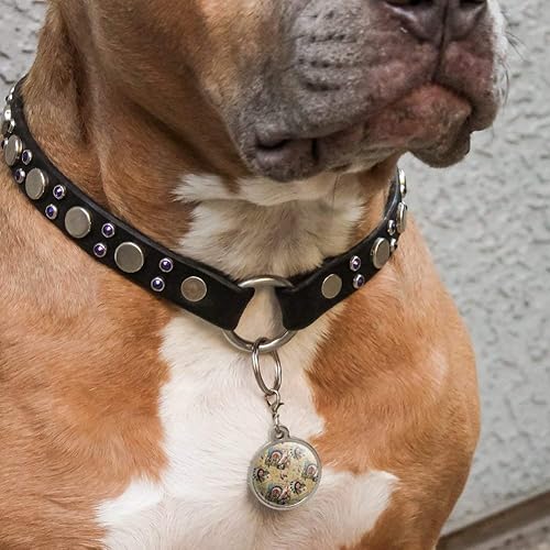 Miniatura 2 de GRAPHICS & MORE Etiqueta de identificación de perro y gato de metal cromado con diseño del lobo nativo americano