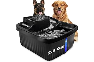 2-Gallon Dog Fountain: Your Pet's Hydration Haven