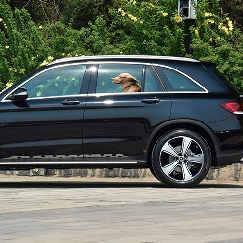 Miniatura 2 de Riders Golden Retriever - Adhesivo adhesivo para ventana de automóvil, para vehículos, perro (para el lado izquierdo)