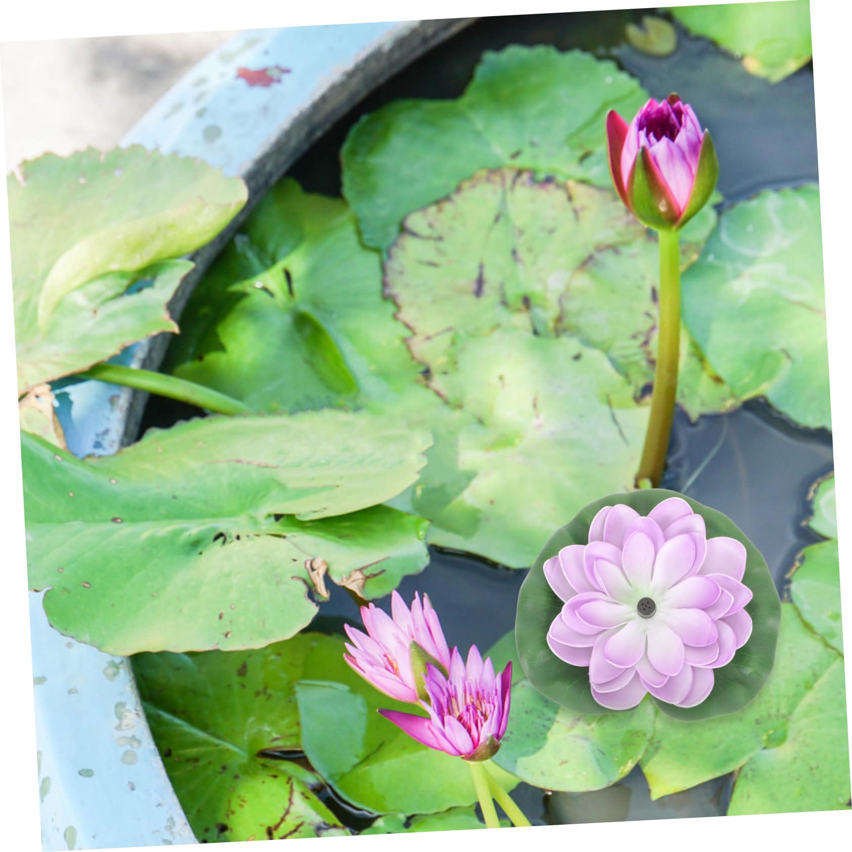 Fontana Solare Loto da Giardino Porpora Abs Automatica 7v | Effetto Galleggiante per Waterscape, Testa 100cm e Portata 180 L/h, Potenza 1.2w