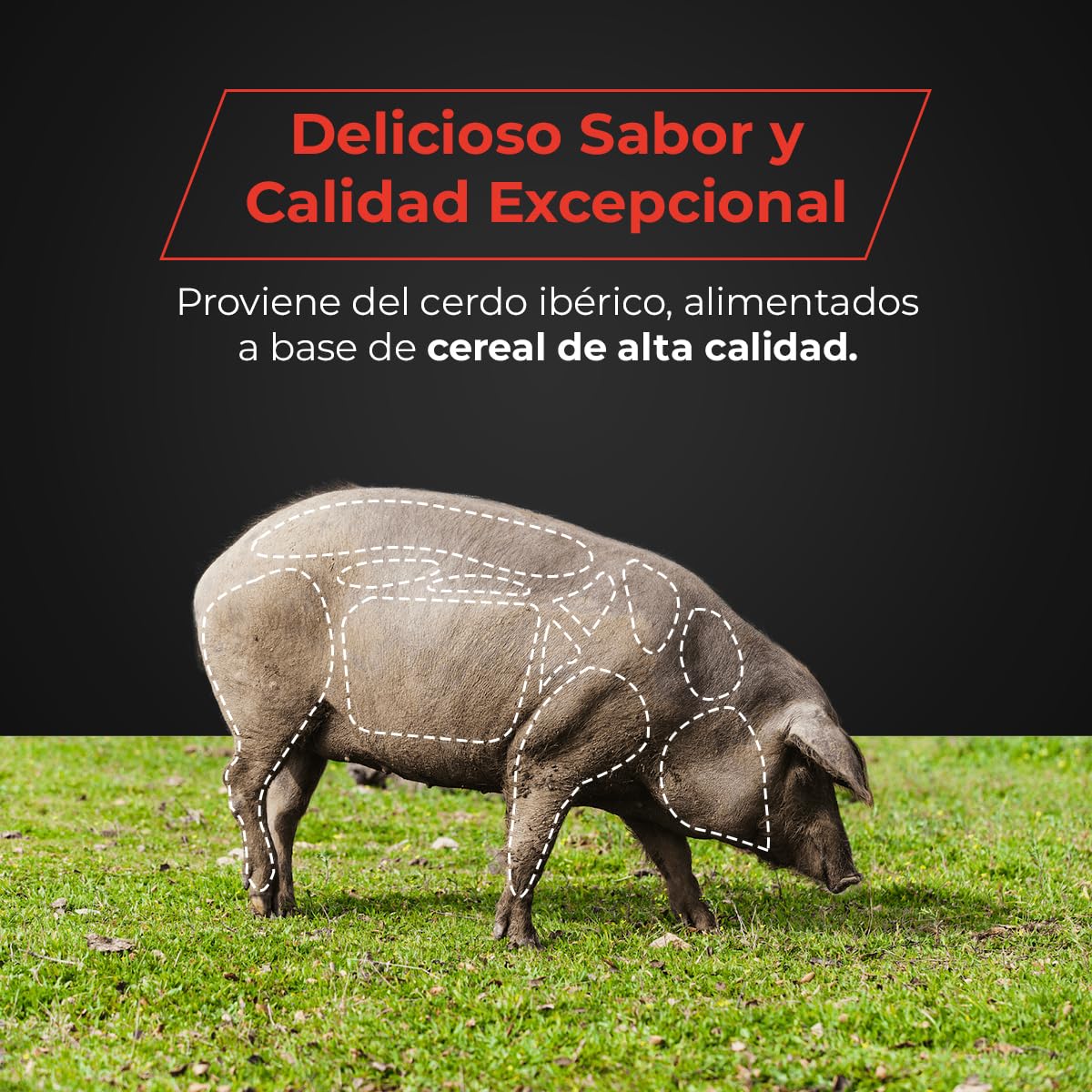 EIbérico - Jamón de Cebo Ibérico 50% Raza Ibérica – Loncheado al Vacío para Mayor Frescura – Sabor Tradicional y Gourmet – Producto Español (Pack 5 Sobres)
