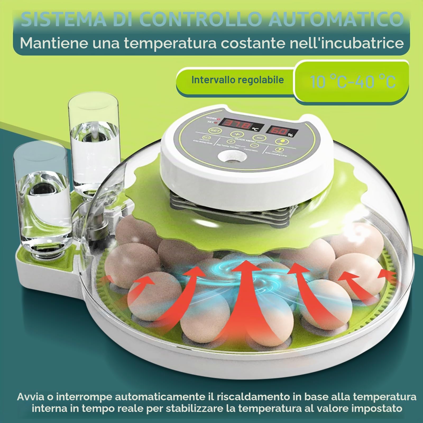 Macchina incubatrice completamente automatica con uova | controllo della temperatura e approvvigionamento idrico, coperchio a 360°, 18-36 uova di polli incubatori