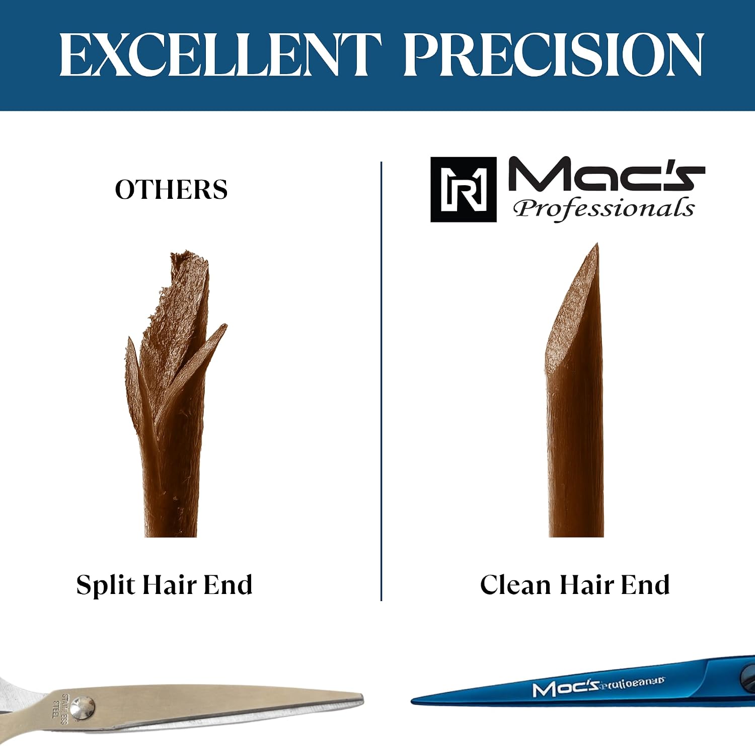 Professional Hair Cutting Scissors - 5.5” Razor Edge Japanese Stainless Steel Barber Scissors - Hair Scissor with 2 Combs, Scissor Oil, Leather Travel Pouch & Box - Men, Women