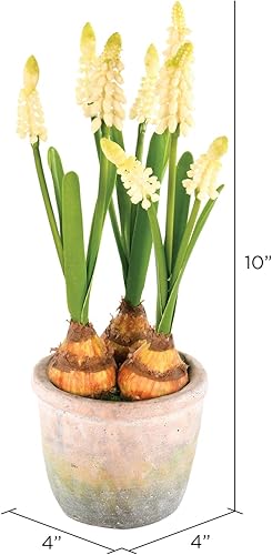 Miniatura 2 de Vickerman Everyday - Jacintos amarillos artificiales para interiores de 10 pulgadas, contenedor de cemento, arreglo decorativo de poliéster