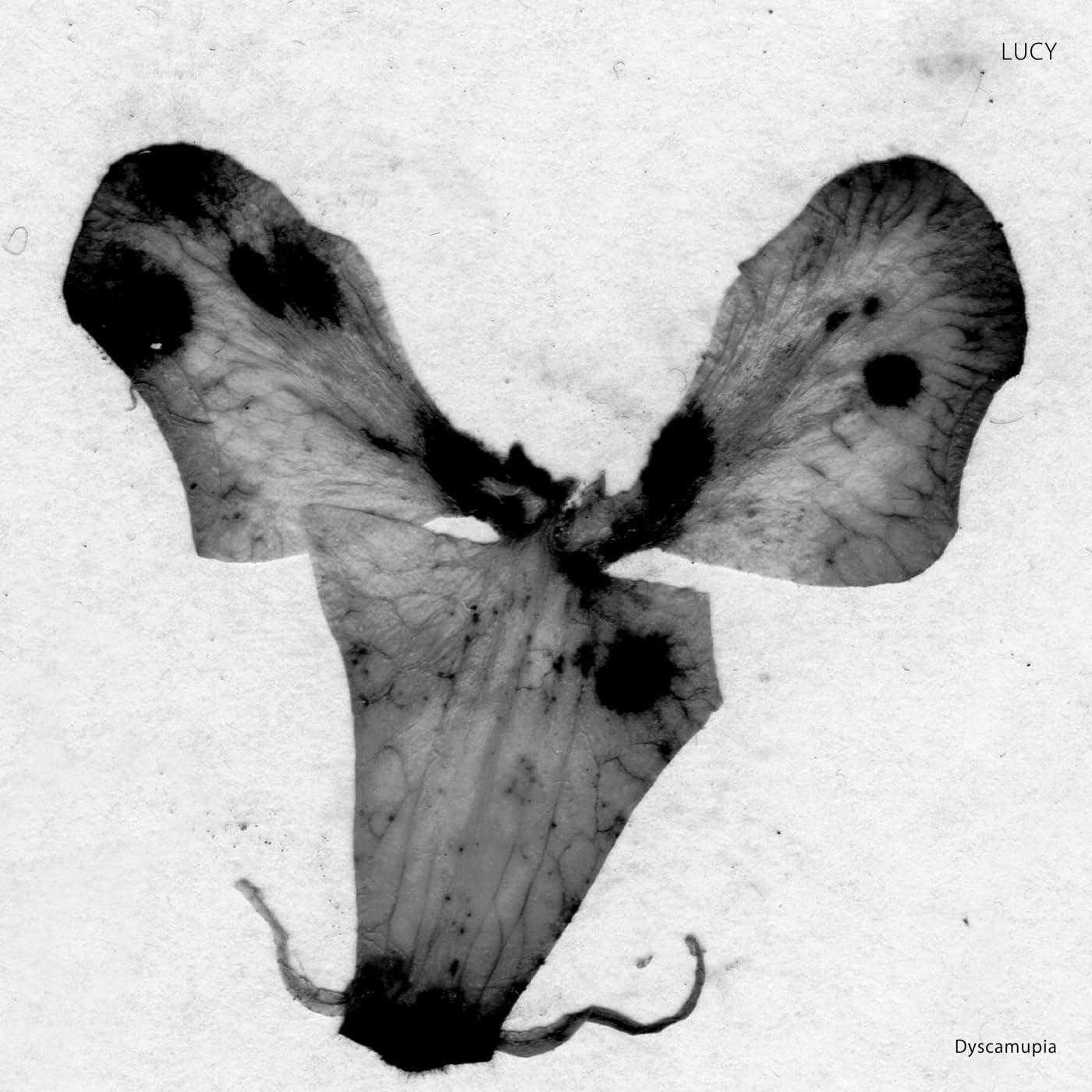 Dyscamupia [VINYL]